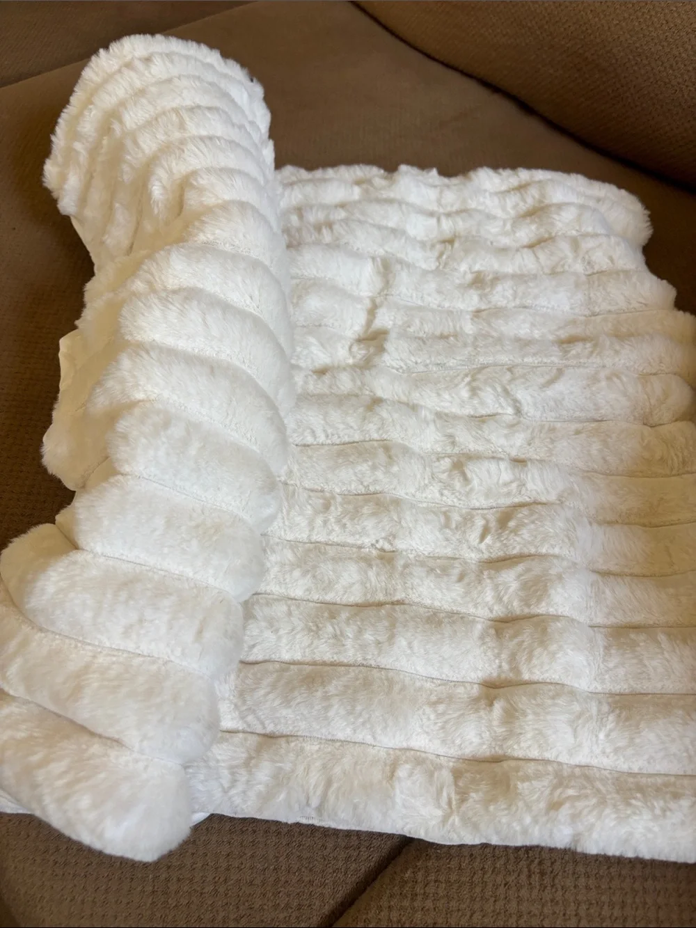 NWT Pottery Barn Teen Ivory Faux Fur Standard Pillow Sham 26x20 Soft Plush
